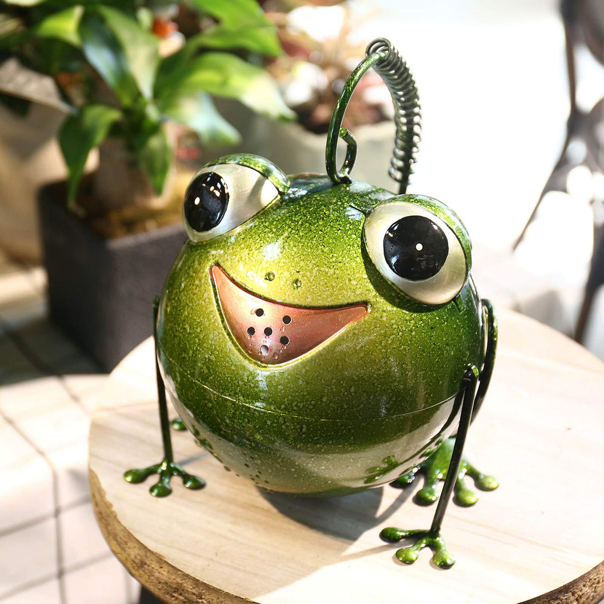 Tooarts Frog Watering Can rustproof finish stands up to sun and rain.