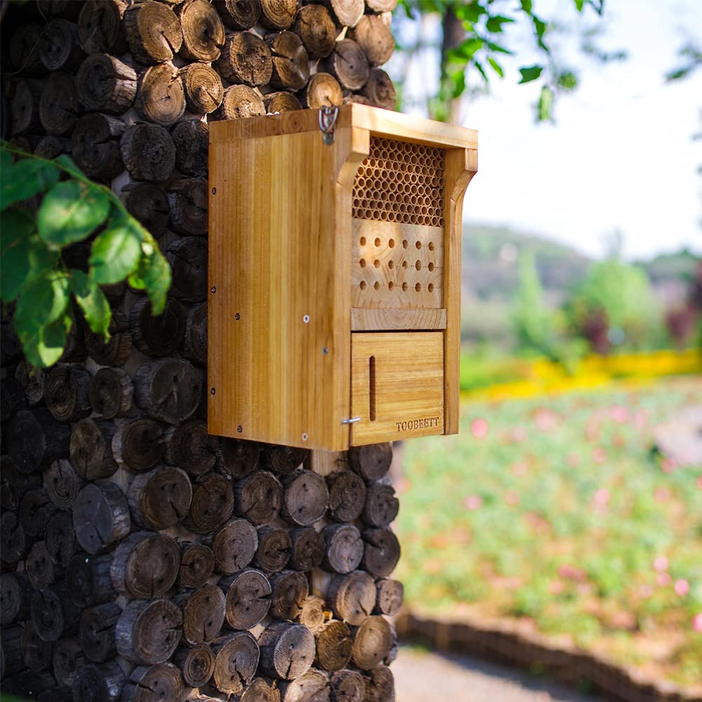 TOOBEETT Mason Bee House garden view attracts pollinators and supports blooms