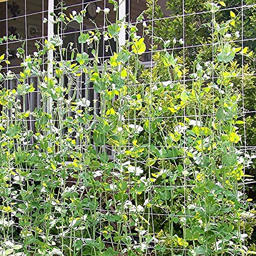 Toolazy Trellis Netting easy installation with a tangle-free design.