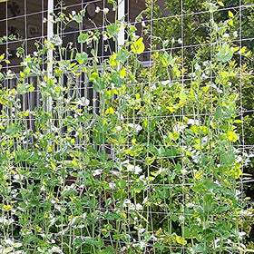 Toolazy Trellis Netting easy installation with a tangle-free design.