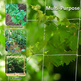 Toolazy Trellis Netting UV-resistant material withstands sun and weather.