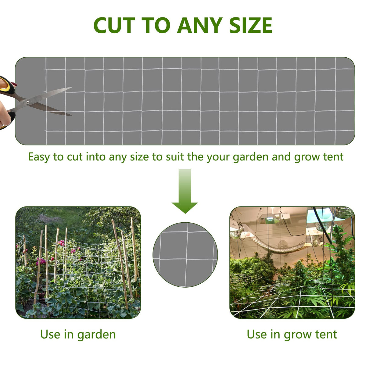 Toolazy Trellis Netting supports vertical growth on frames and poles.