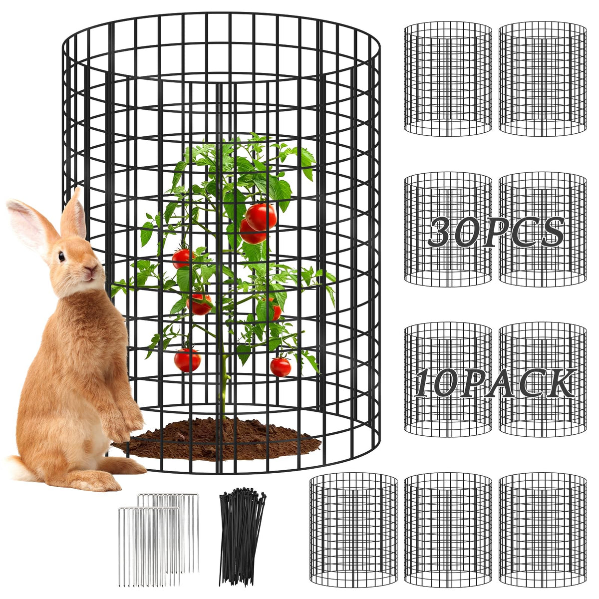 Toolterritary plant protectors guard lettuce from rabbits in the garden.