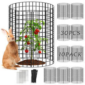 Toolterritary plant protectors guard lettuce from rabbits in the garden.