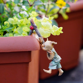 Top Collection 4383 hand-painted pixie detail for terrariums