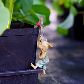Top Collection 4383 hanging pixie hugger for pots