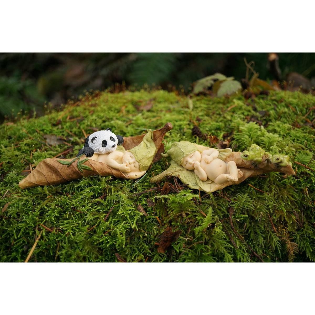 Top Collection miniature fairy garden display with sleeping fairy in terrarium.