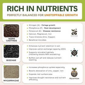 Top Tier Genetics AROID soil blend orchid bark pumice improve drainage.