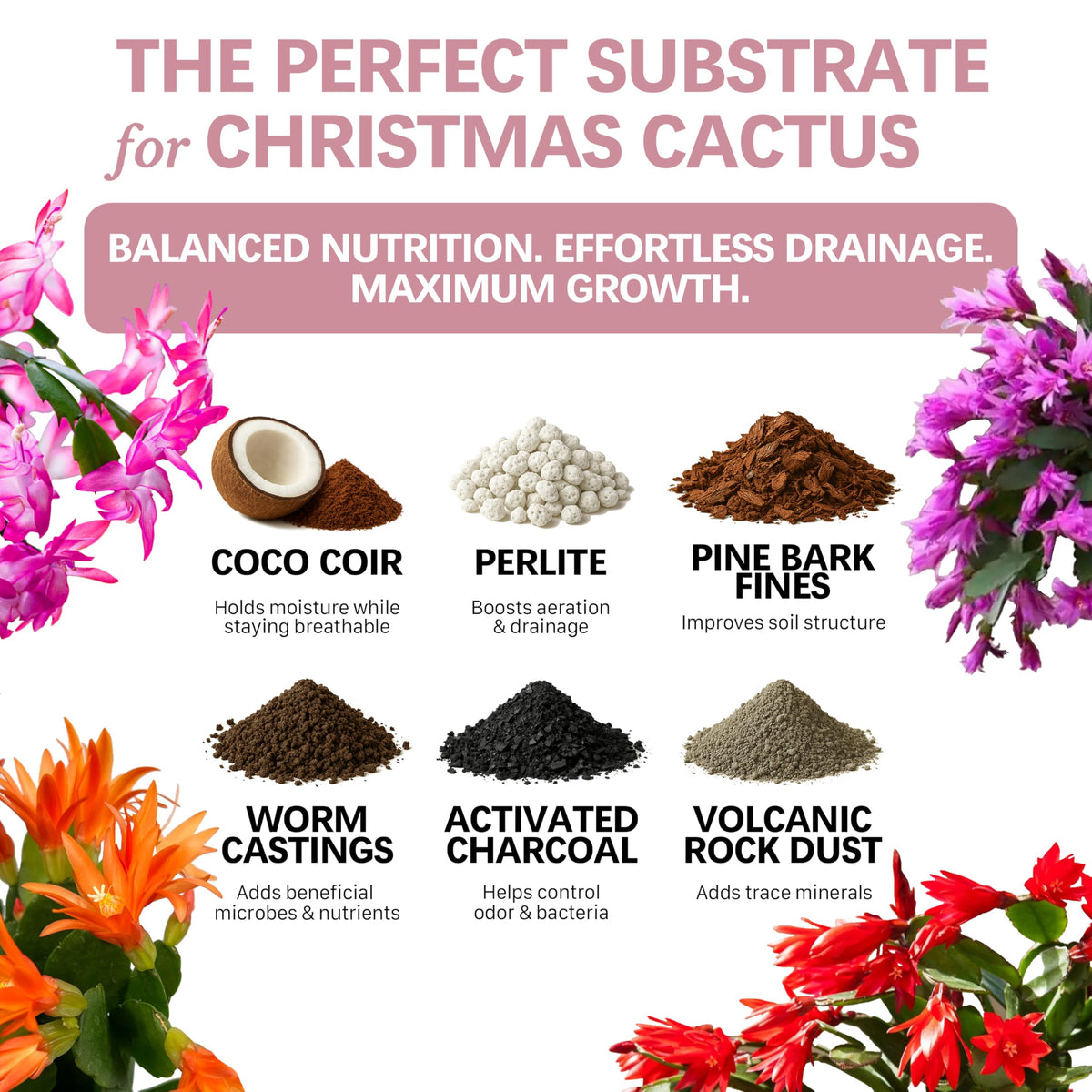 Ready-to-use 4 qt mix for Schlumbergera promotes vibrant blooms.