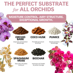 Top Tier Genetics Orchid Soil components close-up showing drainage materials for healthy roots.
