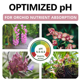 Top Tier Genetics Orchid Soil in pot with orchid emphasizing moisture balance for roots.