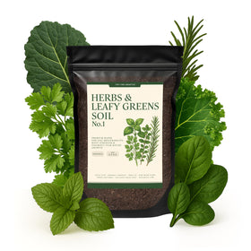 Top Tier Genetics potting mix for basil growth supports thriving indoor herb gardens