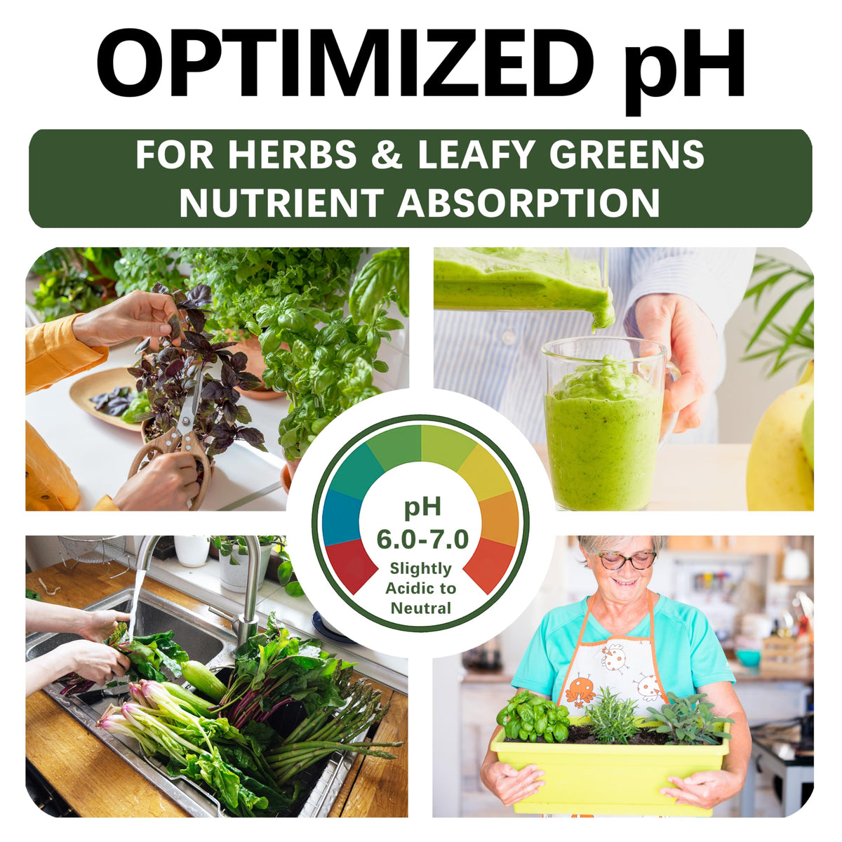 Top Tier Genetics potting mix for lettuce and spinach growth promotes faster harvests