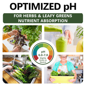 Top Tier Genetics potting mix for lettuce and spinach growth promotes faster harvests