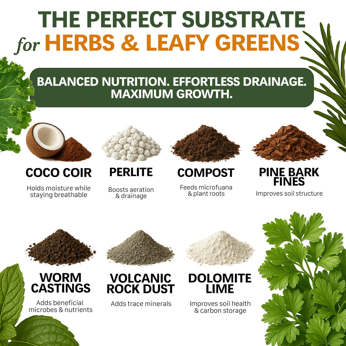 Top Tier Genetics potting mix for mint growth supports healthy container herbs