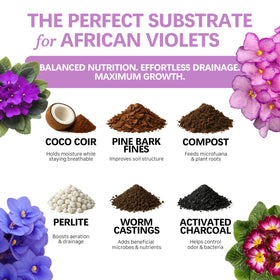 Top Tier Genetics potting mix texture close-up—light, airy blend ideal for indoor violets.