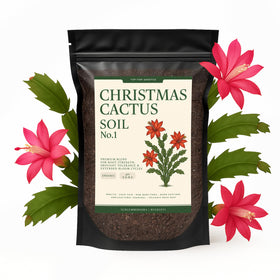 Top Tier Genetics Christmas Cactus soil with balanced drainage for healthy roots.