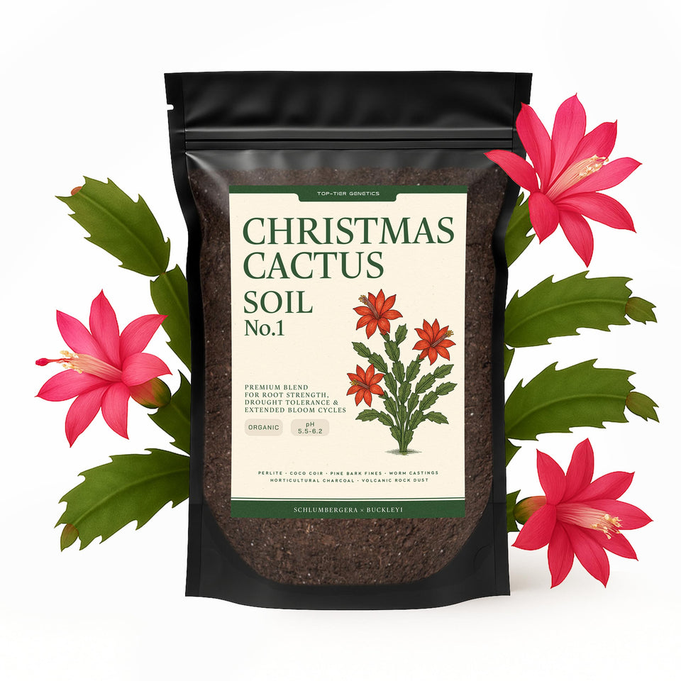 Top Tier Genetics Christmas Cactus soil with balanced drainage for healthy roots.