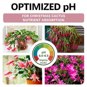 Organic, nutrient-rich mix ideal for repotting epiphytic cacti.