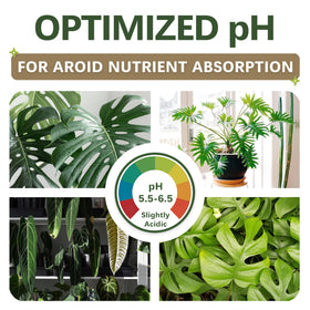 Top Tier Genetics worm castings and mycorrhizae boost root growth.