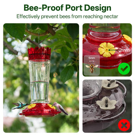 TOP XIAN 30-degree feeding base supports natural hummingbird posture.