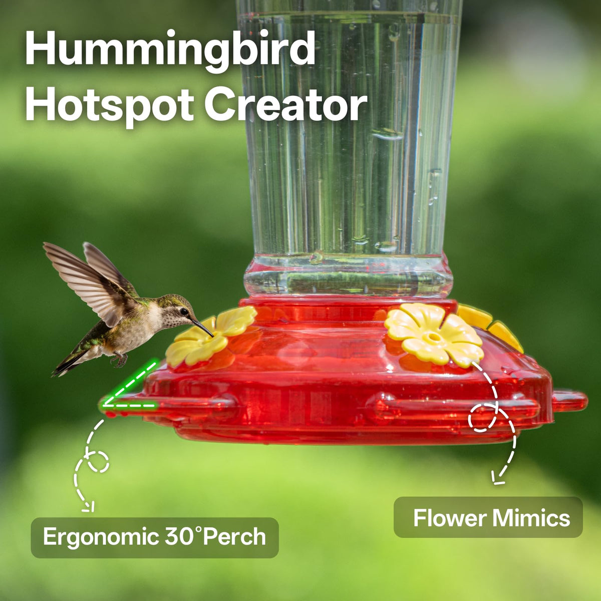 TOP XIAN four-port flowers and perches encourage multiple hummingbirds.