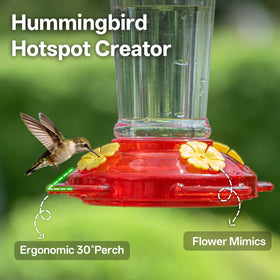 TOP XIAN four-port flowers and perches encourage multiple hummingbirds.