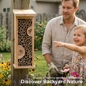 Topadorn bird house on balcony setting suggests versatile outdoor display.