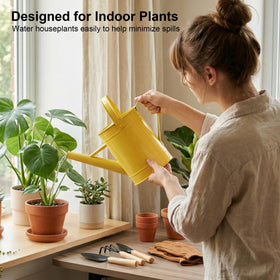 Topadorn removable spout enables adjustable flow for faster watering when needed