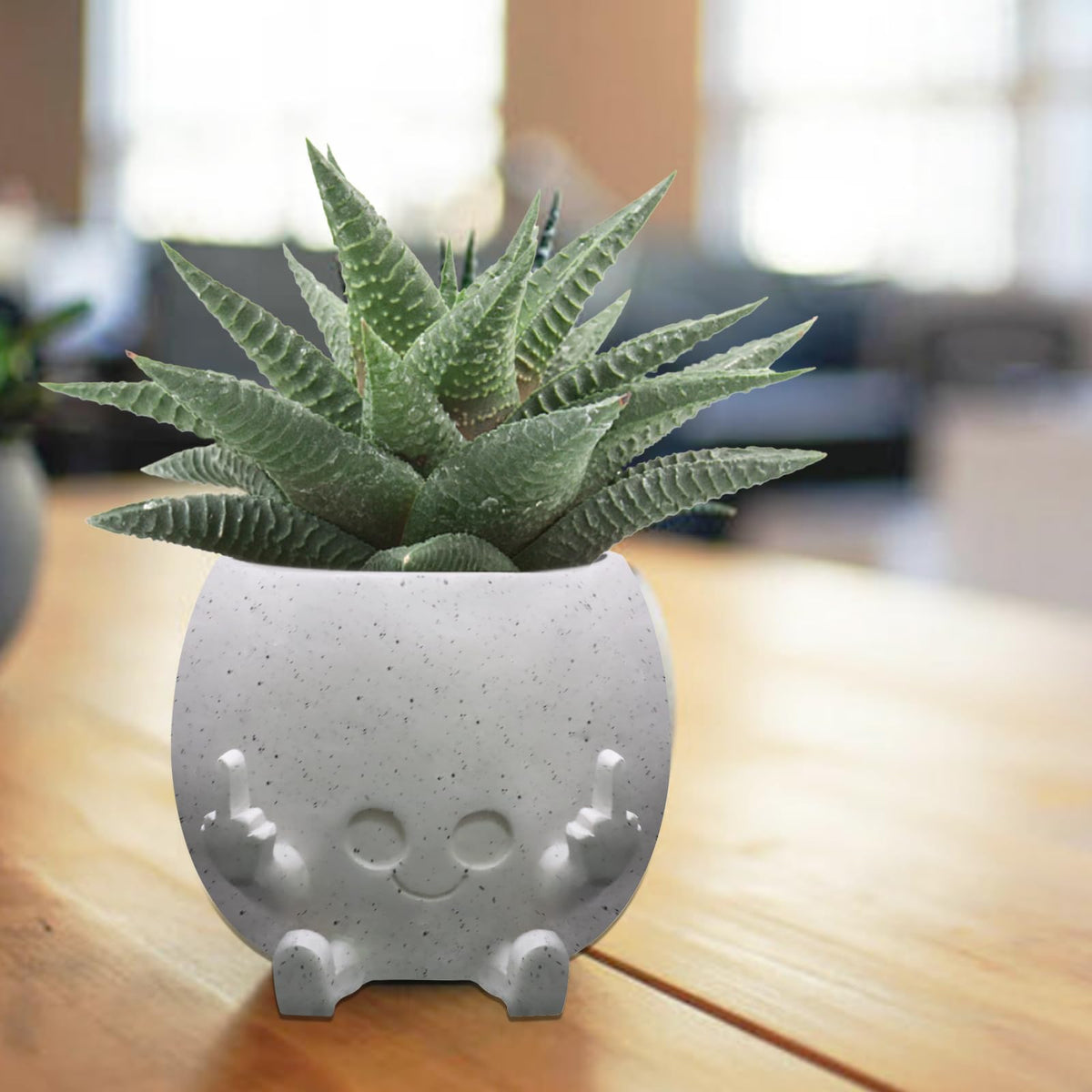 Toparad face planter with cheerful expression ideal for compact succulents.