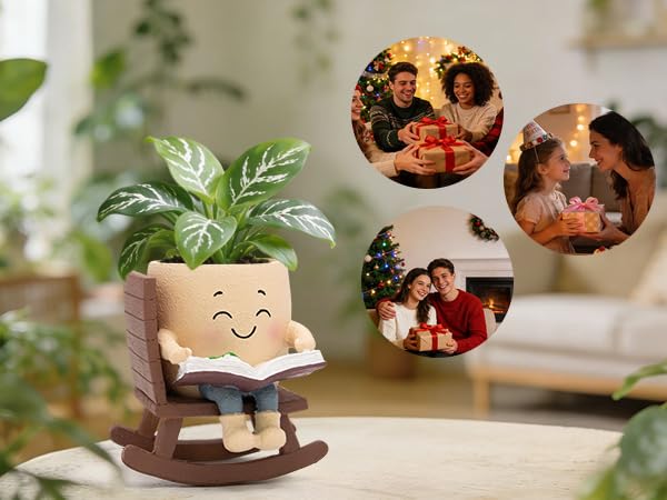 Toparad gift-ready packaging emphasizes thoughtful present potential.