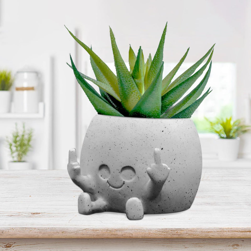 Toparad smiling plant pot with middle fingers up for playful indoor decor.