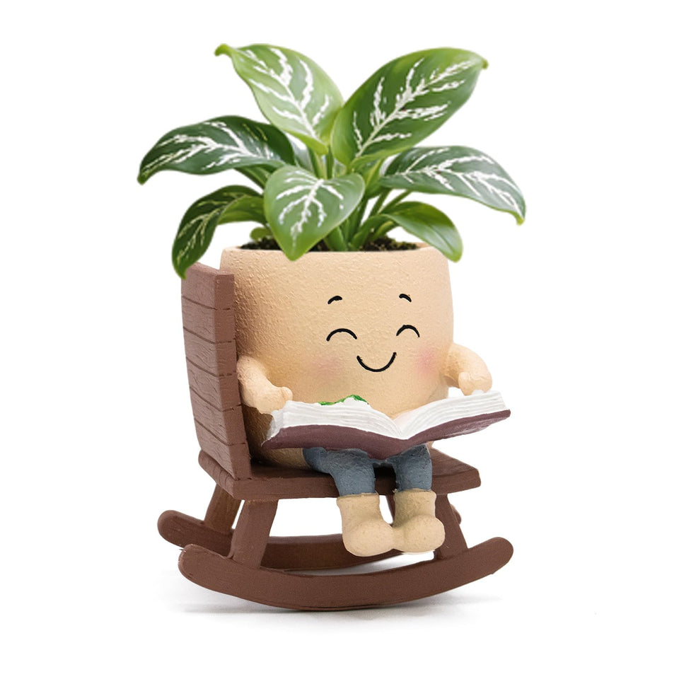 Toparad Smily Face rocking-chair planter front view, ideal for small succulents.