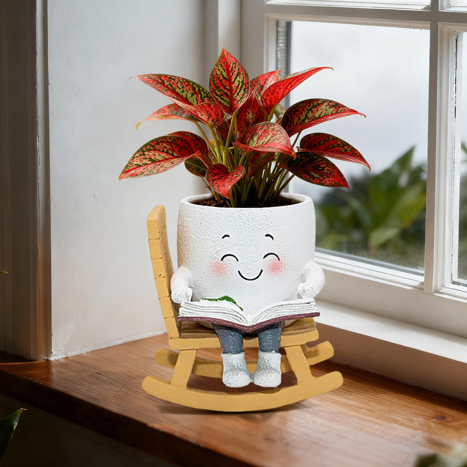 Toparad Smily Face rocking chair planter with a book, ideal for indoor decor