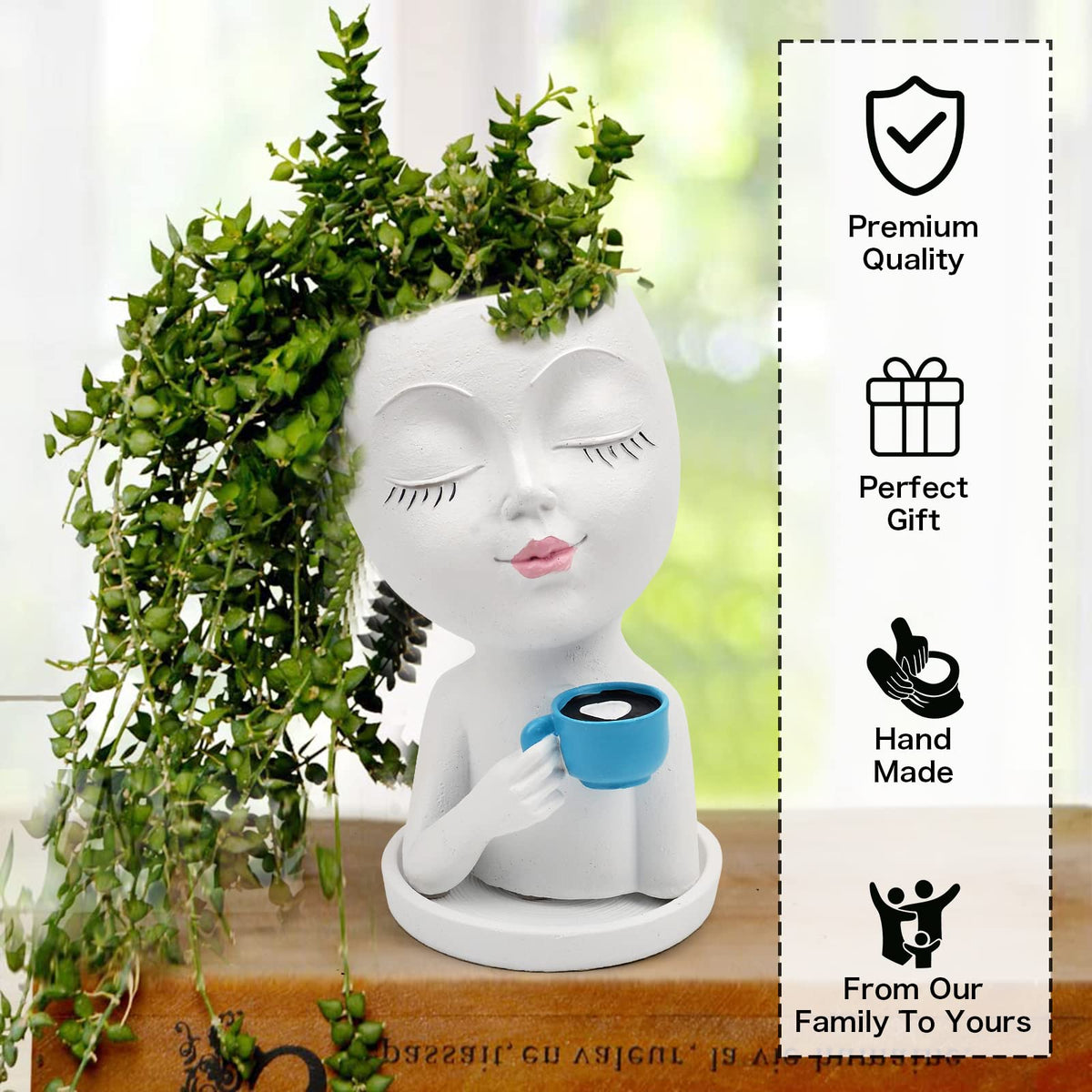 Toparad Succulent-friendly face pot fits small plants.