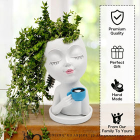Toparad Succulent-friendly face pot fits small plants.