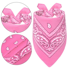 Topbuti pink cowgirl outfit on goose for porch charm