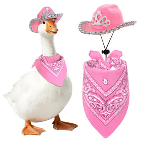 Topbuti pink crown hat on goose for playful yard decor