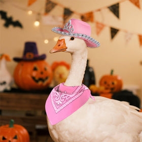 Topbuti pink bandana on goose statue for festive Western styling