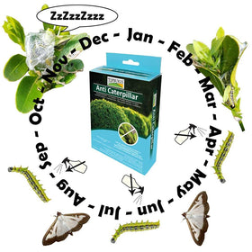 TOPBUXUS BTK five sachets enable easy, professional dosing