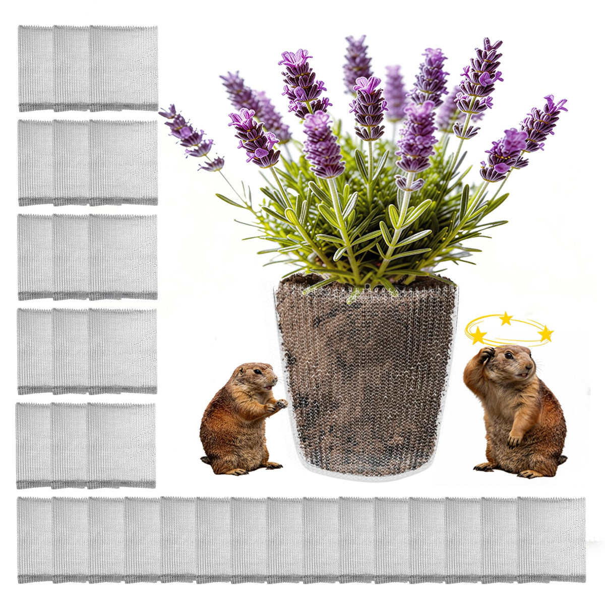 Topfurn gopher basket stainless steel 1 gallon protecting roots beneath soil