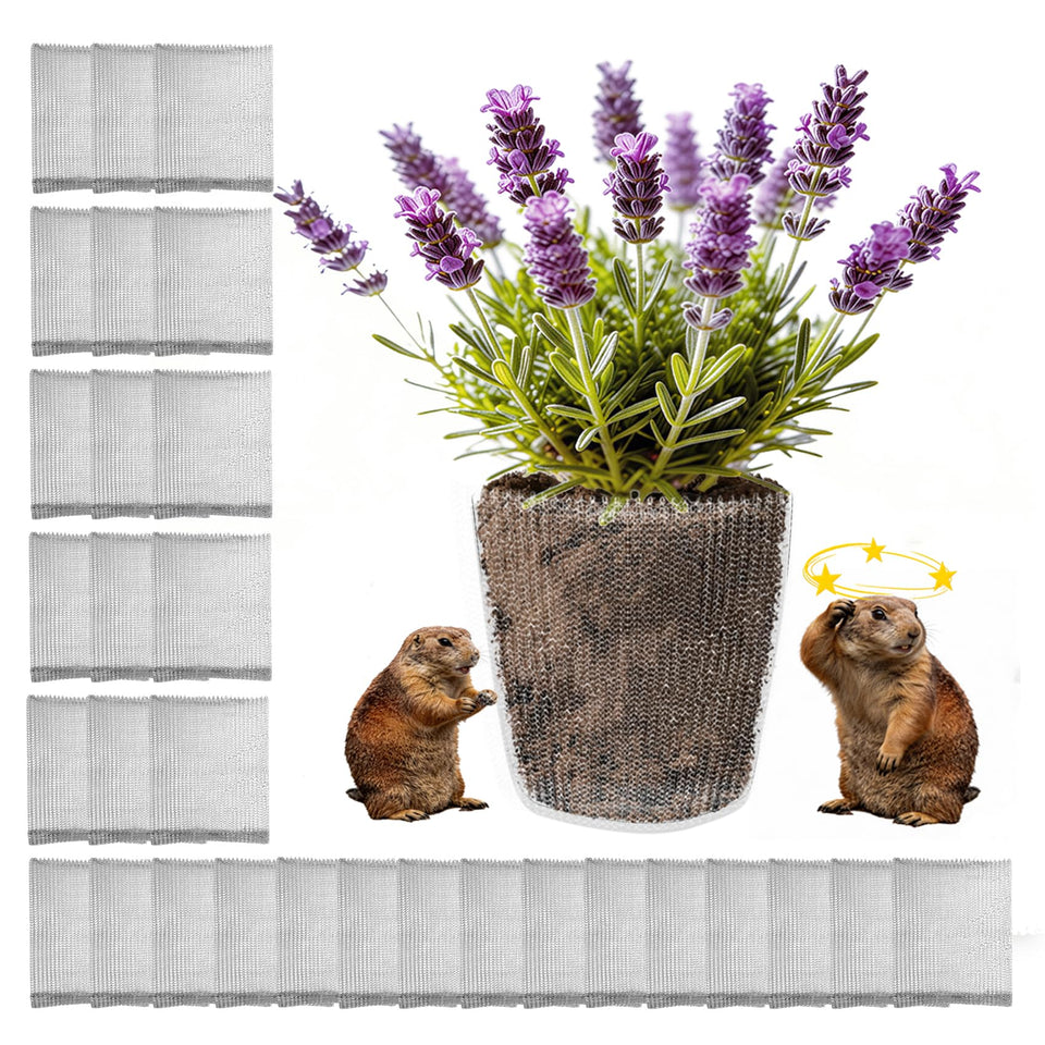 Topfurn gopher basket stainless steel 1 gallon protecting roots beneath soil