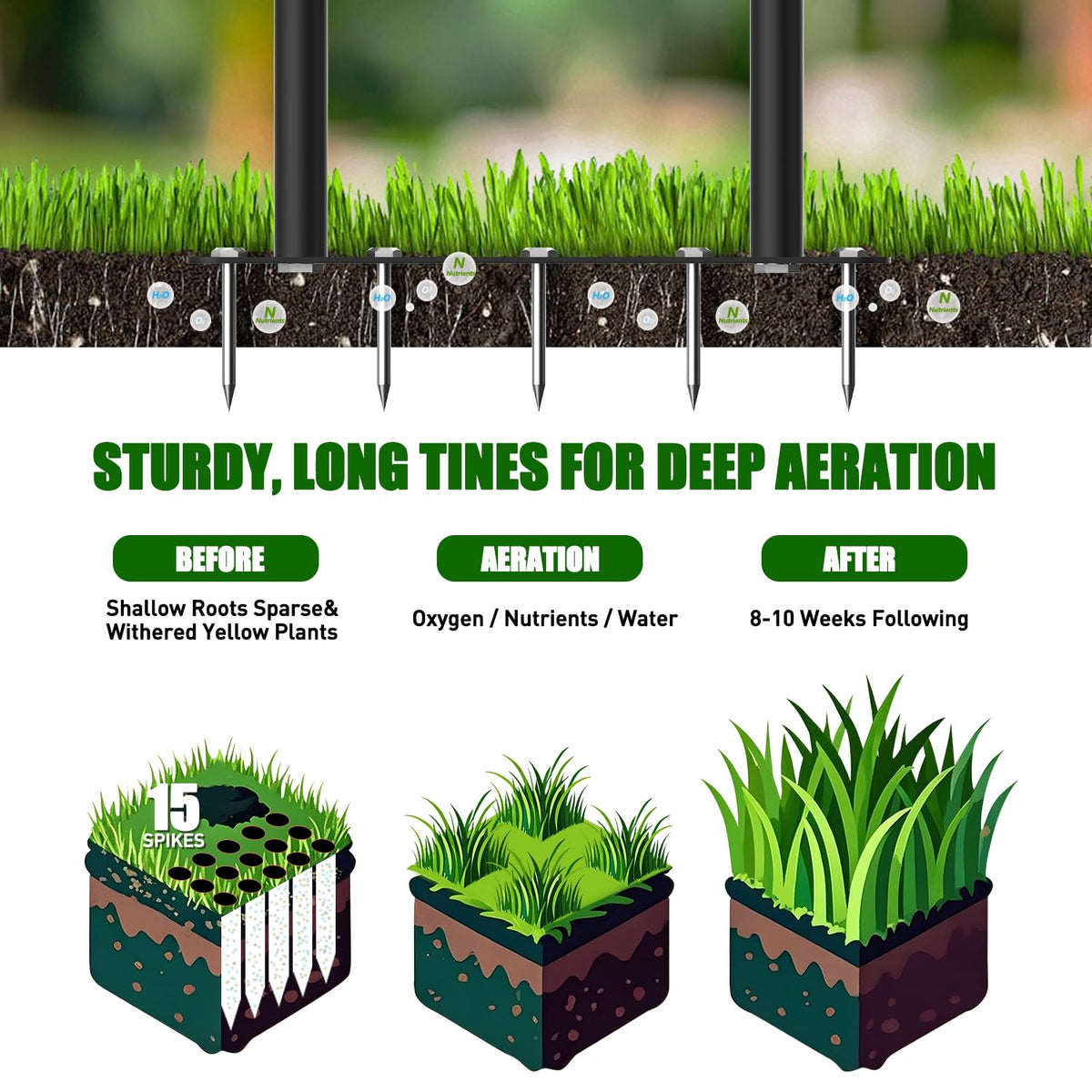 TOPHDY lawn aerator works across different lawn sizes and soil types