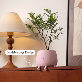 TOPOLA Bendable legs provide a charming perch on windowsills and shelves.