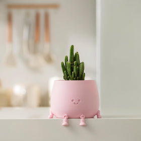 TOPOLA Cute face pot displays dried or faux blooms attractively.