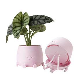 TOPOLA Happy Face Planter shows 5.2 inch diameter, ideal for compact succulents.