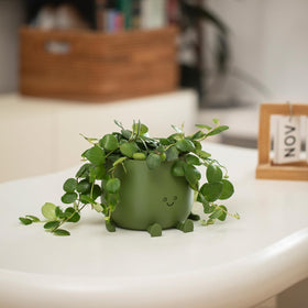 Topola Happy Face Planter bendable legs enable stable placement on windowsills and shelves