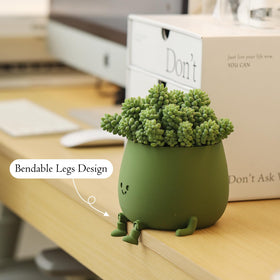 Topola Happy Face Planter close-up face reveals a friendly expression for small succulents