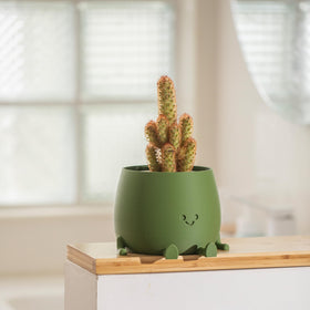 Topola Happy Face Planter drainage holes prevent waterlogging for healthier roots