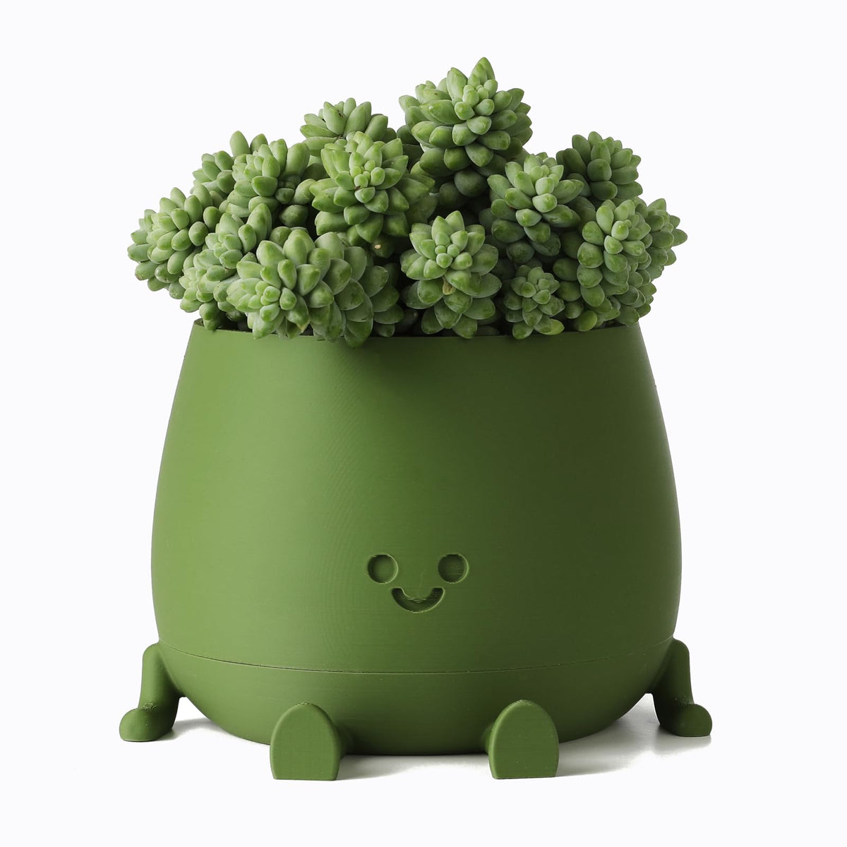 Topola Happy Face Planter front view shows cheerful design for indoor decor and plant care